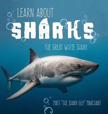 Poznejte žraloky: Velký bílý žralok - Learn About Sharks: The Great White Shark