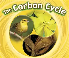 Koloběh uhlíku - Carbon Cycle