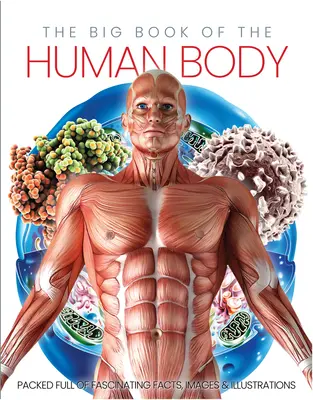 Velká kniha lidského těla - The Big Book of the Human Body