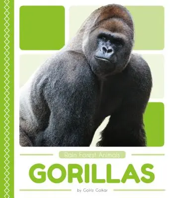 Gorily - Gorillas