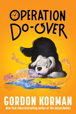 Operace Do-Over - Operation Do-Over