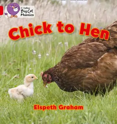 Kuřátko na slepičku - Chick to Hen