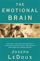 Emocionální mozek - Emotional Brain