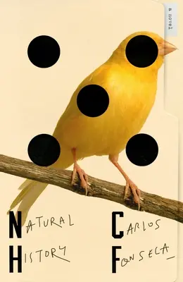 Přírodní historie - Natural History