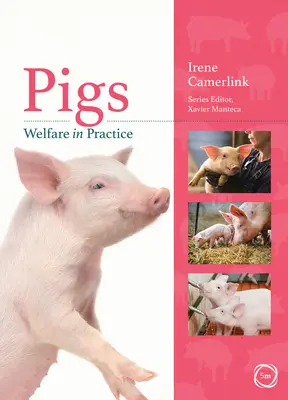 Dobré životní podmínky prasat v praxi - Pigs Welfare in Practice