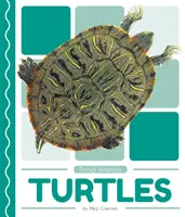 Želvy - Turtles