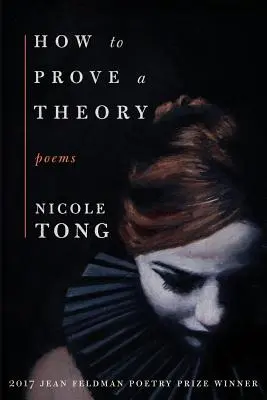 Jak dokázat teorii - How to Prove a Theory