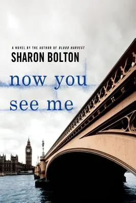 Teď mě vidíš: román Lacey Flintové - Now You See Me: A Lacey Flint Novel