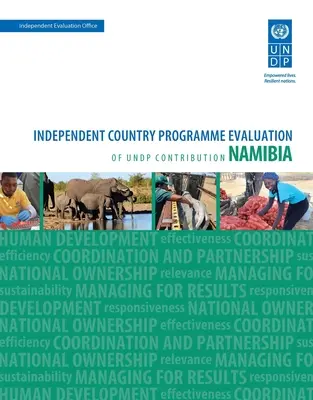 Hodnocení výsledků rozvoje - Namibie: Nezávislé hodnocení příspěvku programu Undp pro jednotlivé země - Assessment of Development Results - Namibia: Independent Country Programme Evaluation of Undp Contribution
