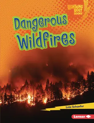 Nebezpečné lesní požáry - Dangerous Wildfires