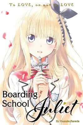 Internátní škola Juliet 1 - Boarding School Juliet 1
