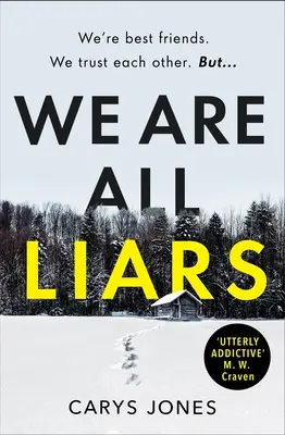 Všichni jsme lháři - We Are All Liars