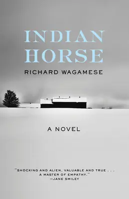 Indiánský kůň - Indian Horse