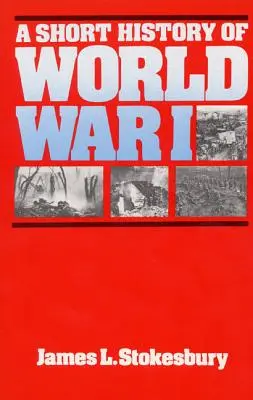 Krátké dějiny první světové války - A Short History of World War I