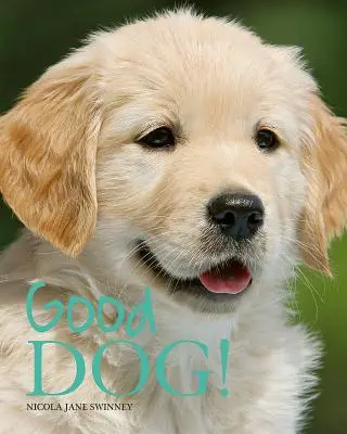 Hodný pes! - Good Dog!