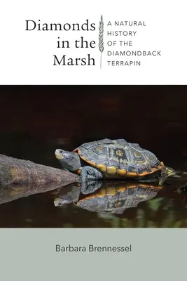 Diamanty v bažinách: A Natural History of the Diamondback Terrapin (Přírodní historie želvy diamantové) - Diamonds in the Marsh: A Natural History of the Diamondback Terrapin