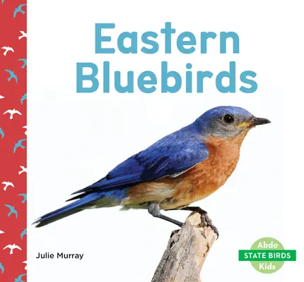 Východní modří ptáci - Eastern Bluebirds