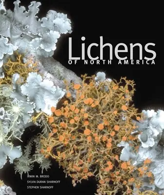 Lišejníky Severní Ameriky - Lichens of North America