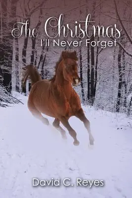 Vánoce, na které nikdy nezapomenu - The Christmas I'll Never Forget