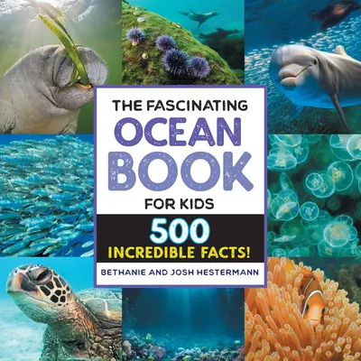 Fascinující kniha o oceánech pro děti: 500 neuvěřitelných faktů! - The Fascinating Ocean Book for Kids: 500 Incredible Facts!