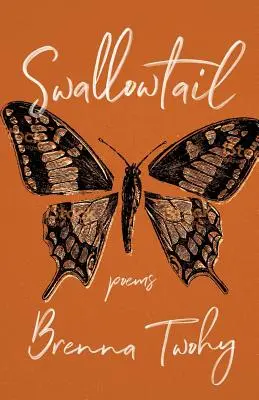 Vlaštovčí ocas - Swallowtail