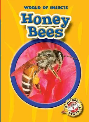 Medonosné včely - Honey Bees