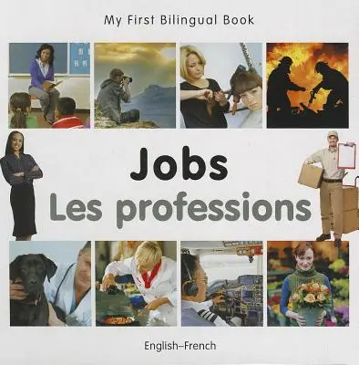 Práce/profese - Job/Les Professions