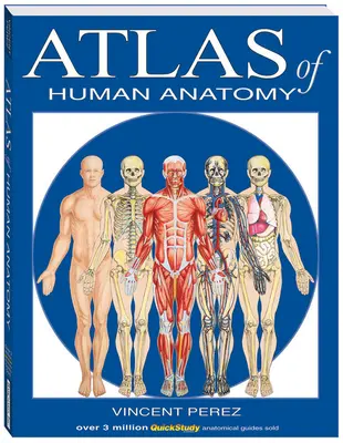 Atlas anatomie člověka - Atlas of Human Anatomy