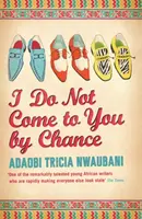 Nepřicházím k tobě náhodou - I Do Not Come to You by Chance
