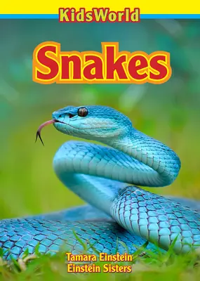 Hadi - Snakes