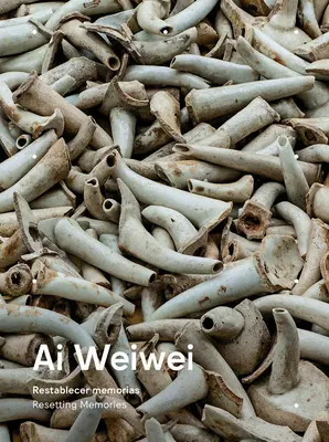 AI Weiwei: Resetování vzpomínek - AI Weiwei: Resetting Memories