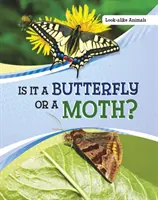 Je to motýl nebo můra? - Is It a Butterfly or a Moth?