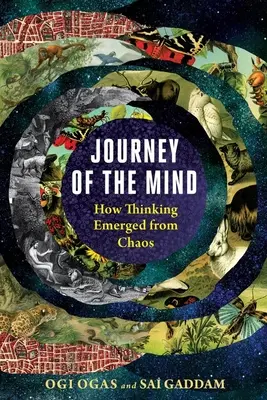 Cesta mysli: Jak myšlení vzniklo z chaosu - Journey of the Mind: How Thinking Emerged from Chaos