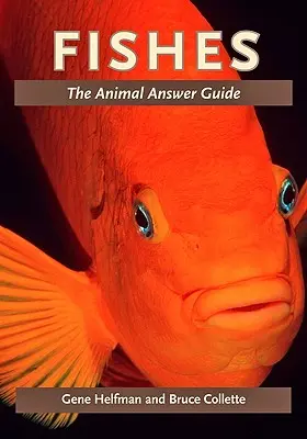 Ryby: Žraloci: Průvodce odpověďmi na otázky o zvířatech - Fishes: The Animal Answer Guide