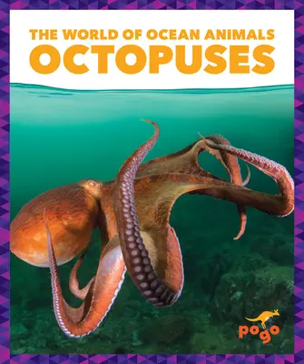 Chobotnice - Octopuses