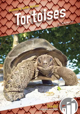 Želvy - Tortoises