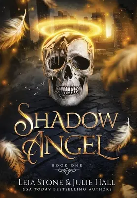 Stínový anděl: Kniha první - Shadow Angel: Book One