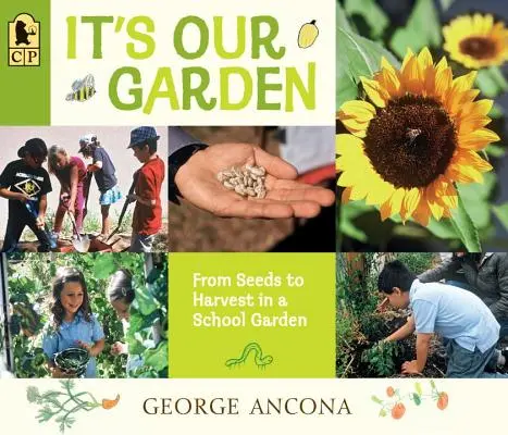 Je to naše zahrada: Od semínek ke sklizni na školní zahradě - It's Our Garden: From Seeds to Harvest in a School Garden