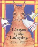 Lamy v prádelně - Llamas in the Laundry