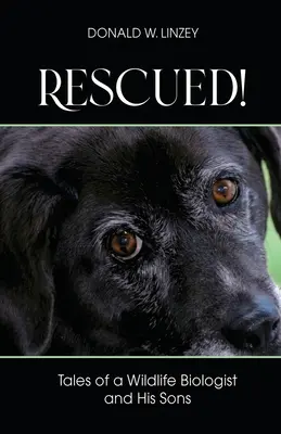 Zachráněn!: Příběhy biologa divoké přírody a jeho synů - Rescued!: Tales of a Wildlife Biologist and His Sons