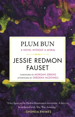 Švestková buchta: A Novel Without Moral - Plum Bun: A Novel Without a Moral