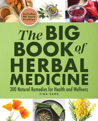 Velká kniha bylinné medicíny: Velká kniha bylinek: 300 přírodních léků pro zdraví a pohodu - The Big Book of Herbal Medicine: 300 Natural Remedies for Health and Wellness