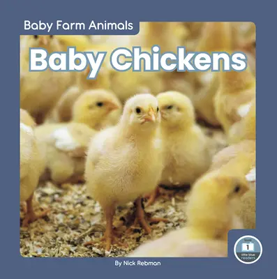 Kuřátka - Baby Chickens