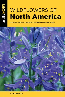Divoké květiny Severní Ameriky: Průvodce po více než 500 kvetoucích rostlinách od pobřeží k pobřeží - Wildflowers of North America: A Coast-To-Coast Guide to More Than 500 Flowering Plants