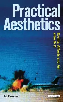 Praktická estetika: Události, afekty a umění po 11. září - Practical Aesthetics: Events, Affects and Art After 9/11