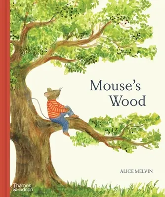 Myší les: Rok v přírodě - Mouse's Wood: A Year in Nature