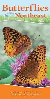 Motýli severovýchodu: Snadné určování motýlů na severovýchodě Evropy: příručka o motýlech na severovýchodě Evropy. - Butterflies of the Northeast: Identify Butterflies with Ease