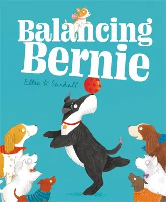 Vyvažování Bernieho - Balancing Bernie