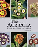 Auricula: Historie, pěstování a odrůdy - Auricula: History, Cultivation and Varieties