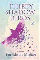 Třicet stínových ptáků - Thirty Shadow Birds